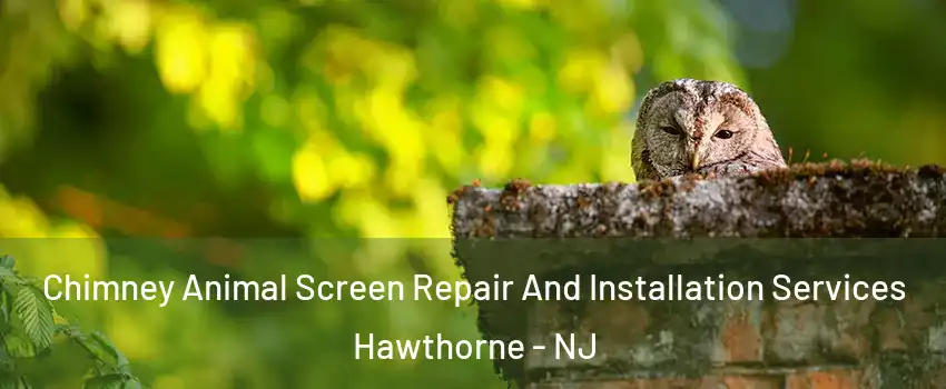  Chimney Animal Screen Repair And Installation Services Hawthorne - NJ